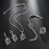 Sada Zirkony Stříbrný Se Elegantni